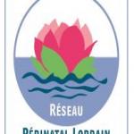 Réseau Périnatalité Lorrain - Formation à l'IVG Médicamenteuse - 12 mars 2018 Réseau Périnatalité Lorrain - Formation à l'IVG Médicamenteuse - 12 mars 2018